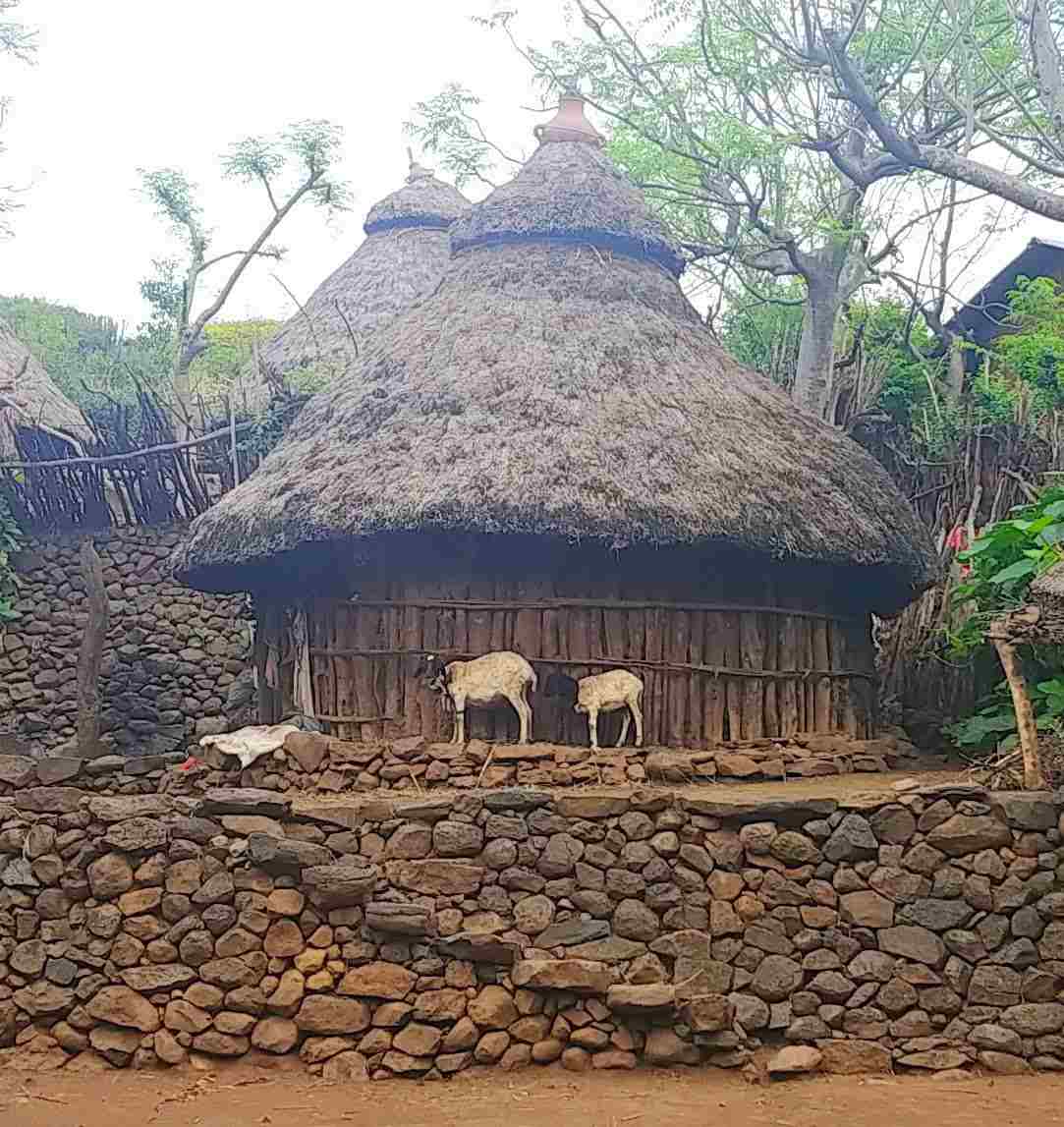 Konso Village - My Ethiopia Tours